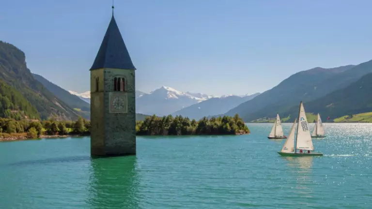 Partizipation in Graun