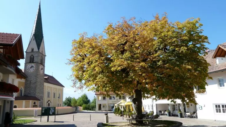 Partizipation in Terenten